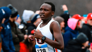 بريندا جيبشيرشير 