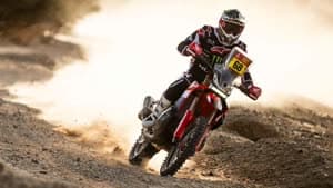 توشا شارينا