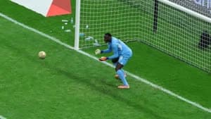 ديوف السنغال