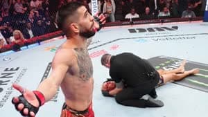 أيليا توبوريا