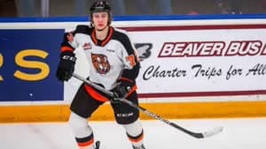 غافين ماكينا