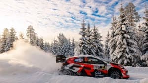 إلفين إيفانز