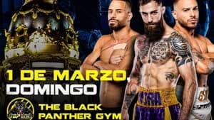 بطولة قتال المفاصل العارية (BKFC)