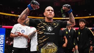 أليكس بيريرا