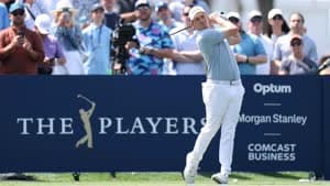 فيتزباتريك 