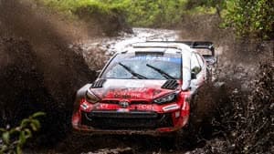 أوليفر سولبرغ