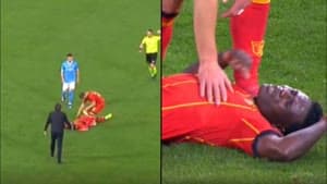 لاميك باندا.