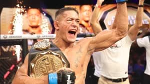  كوستيلو فان ستينيس