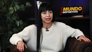 أندريا مينيسيس