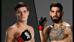 موفسار إيفلويف وإيليا توبوريا