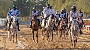 كأس سمو ولي عهد دبي للقدرة