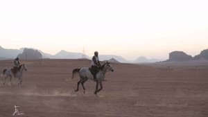 فرسان في سباق وادي رم