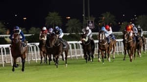 هيئة الإمارات لسباق الخيل