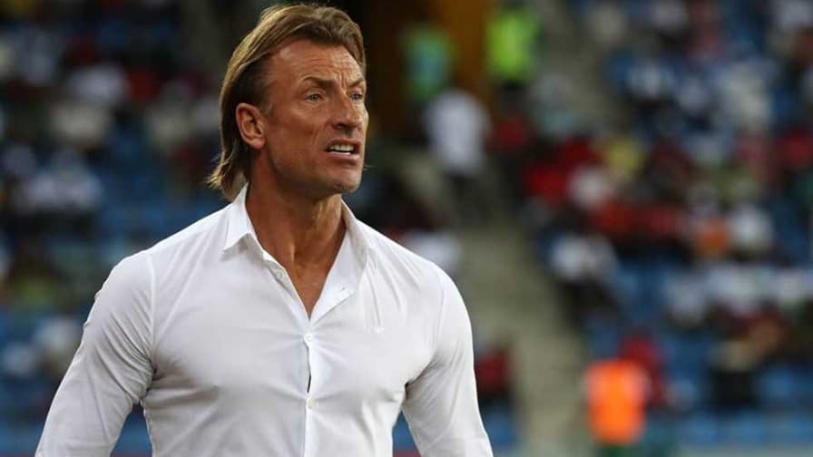 هيرفي رينارد