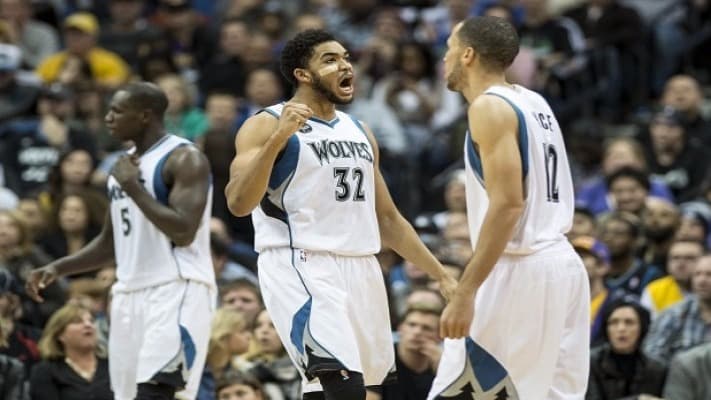 مينيسوتا تمبرولفز