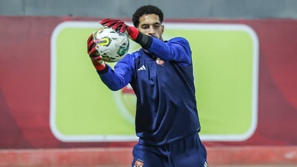 مصطفى شوبير