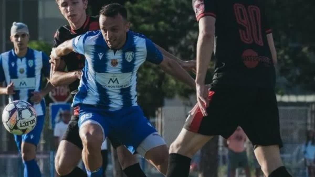 الاتحاد الأوروبي