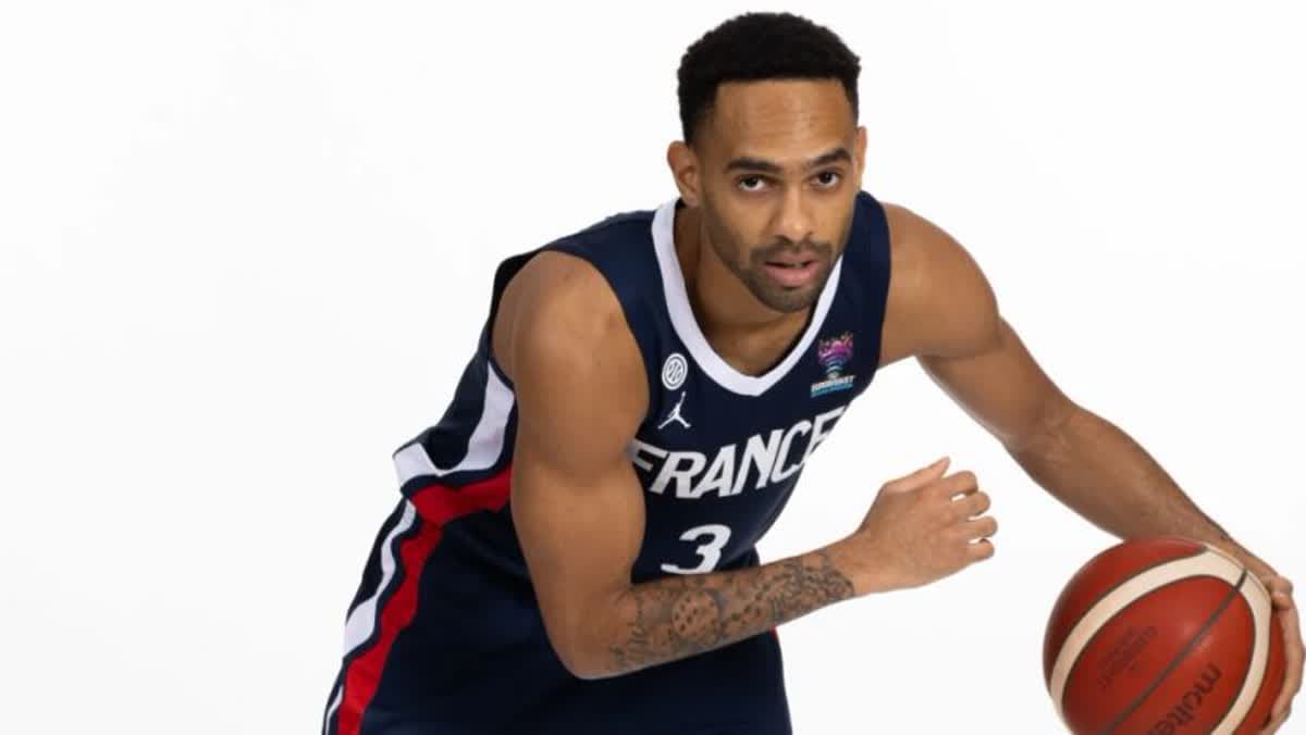  ديفيد ميتشينو