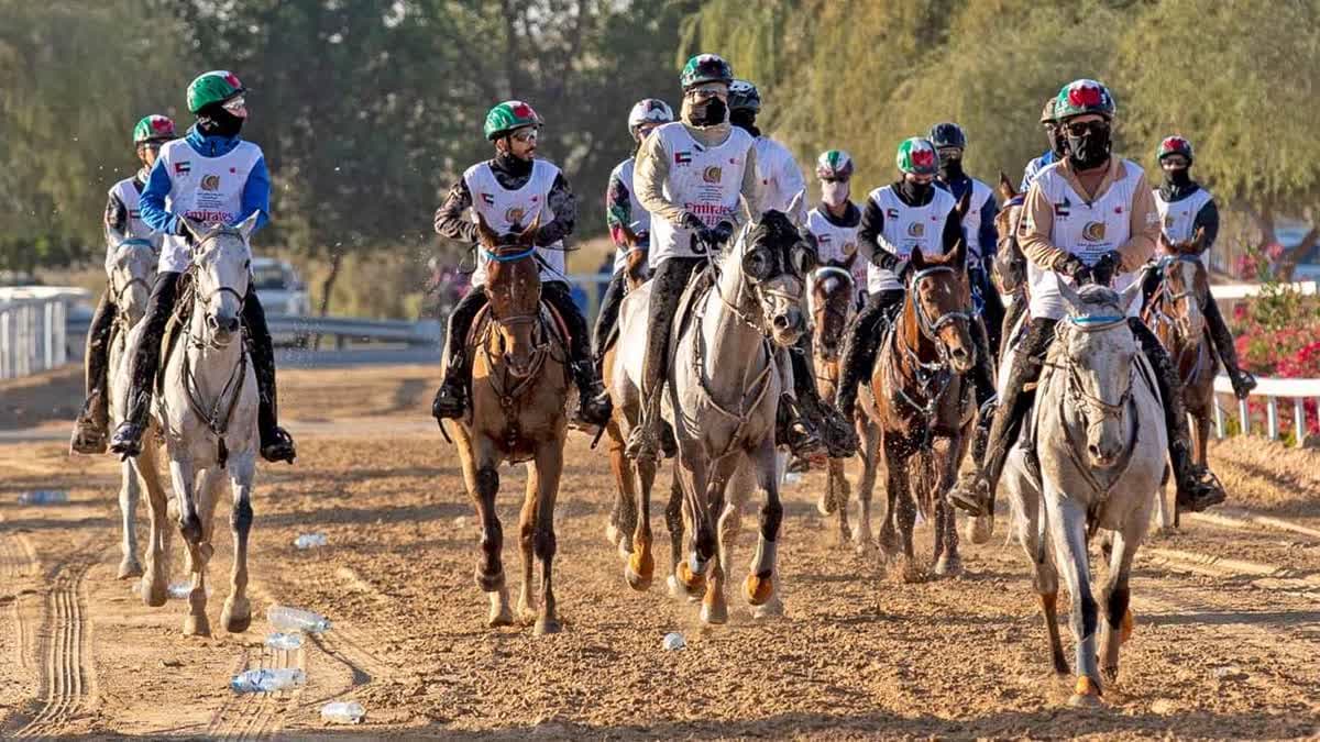 كأس سمو ولي عهد دبي للقدرة
