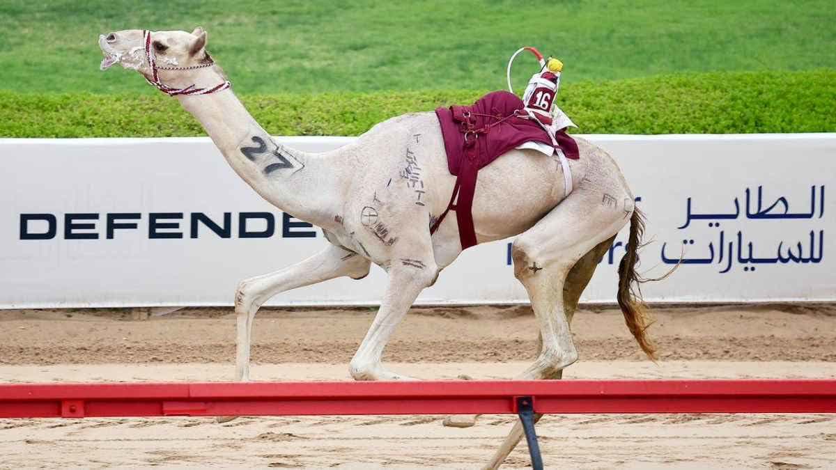 ختامي المرموم رموز الثنايا