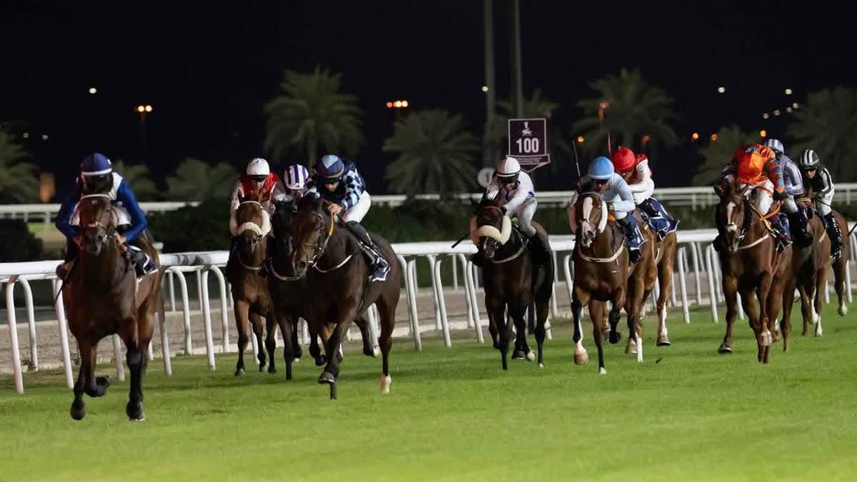 هيئة الإمارات لسباق الخيل