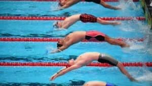 مجلس أبوظبي الرياضي يفتح باب التطوع لمونديال السباحة