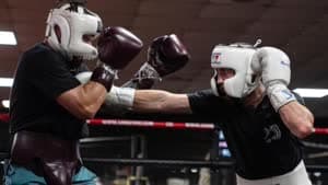 ساندور مارتين