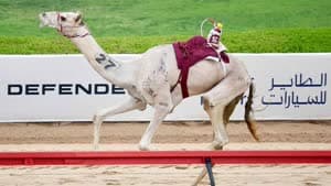 ختامي المرموم رموز الثنايا