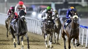 نادي دبي للفروسية