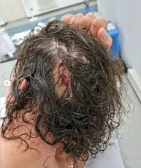 إبراهيموفيتش