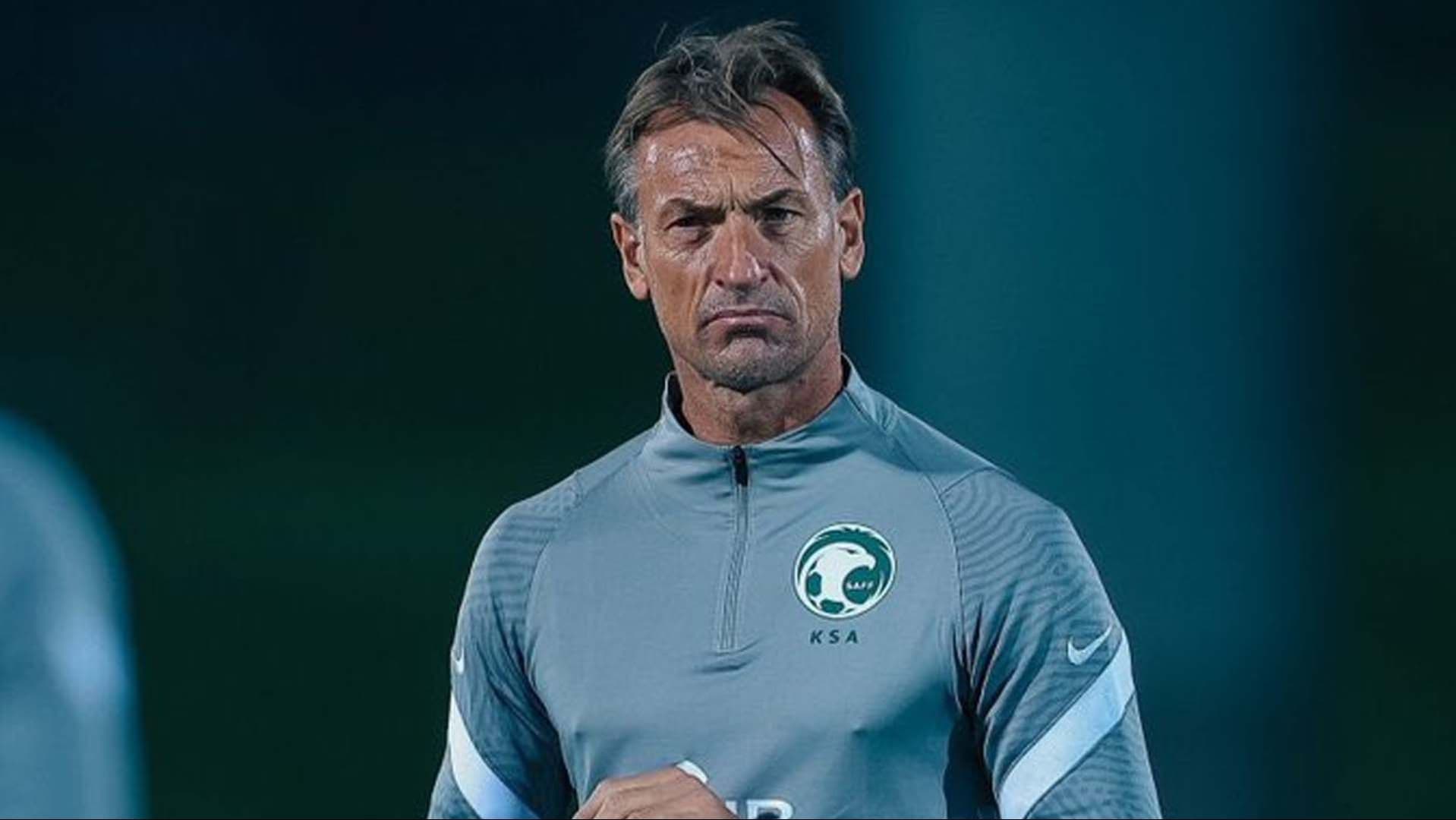 هيرفي رينارد