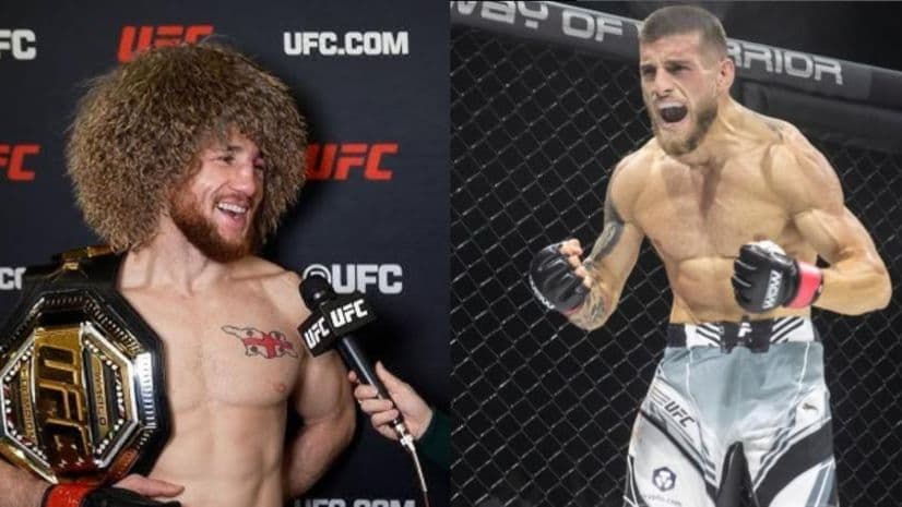 دفاليشفيلي