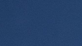 ستيفانو فوكوف وإيلينا ريباكينا