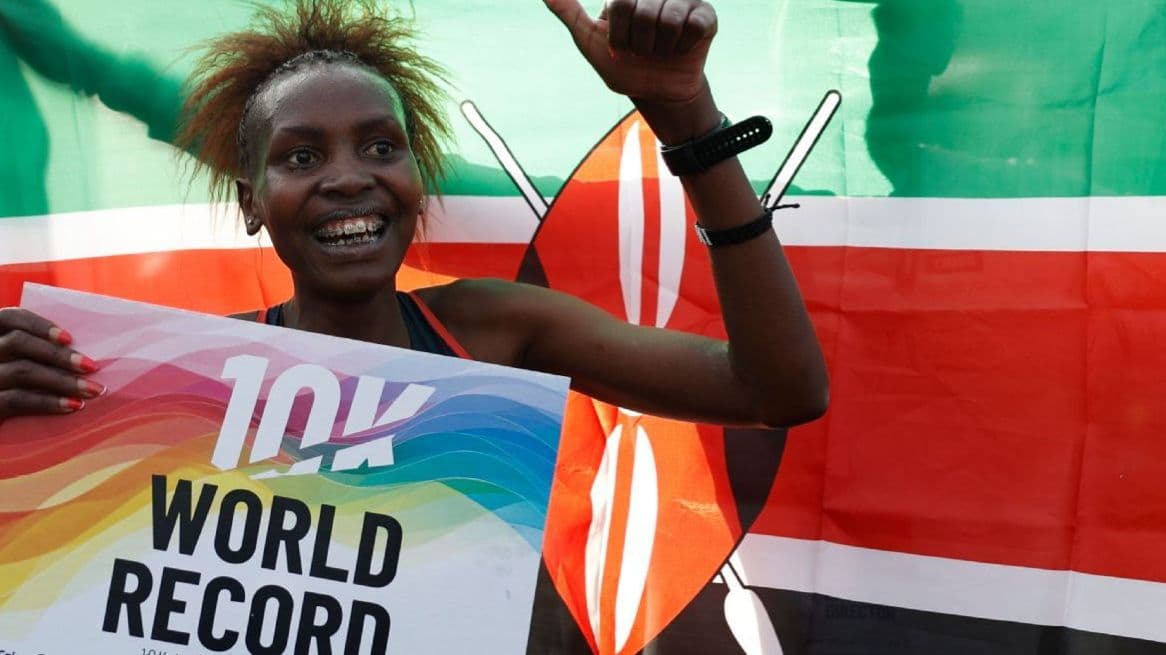 أغنيس نجيتيش