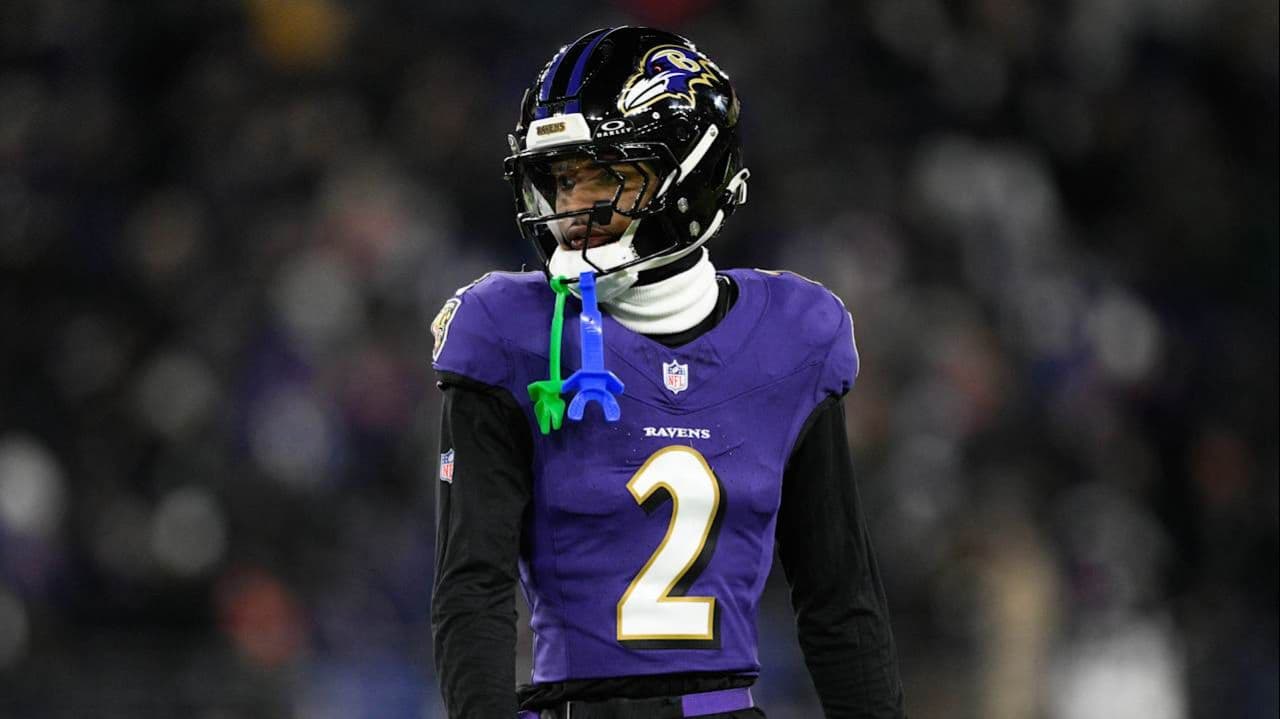 نيت ويجينير