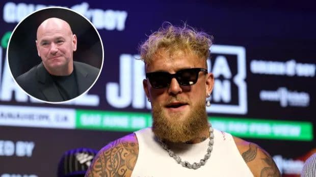 جيك بول - دانا وايت 