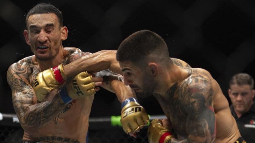 هولواي  - توبوريا 