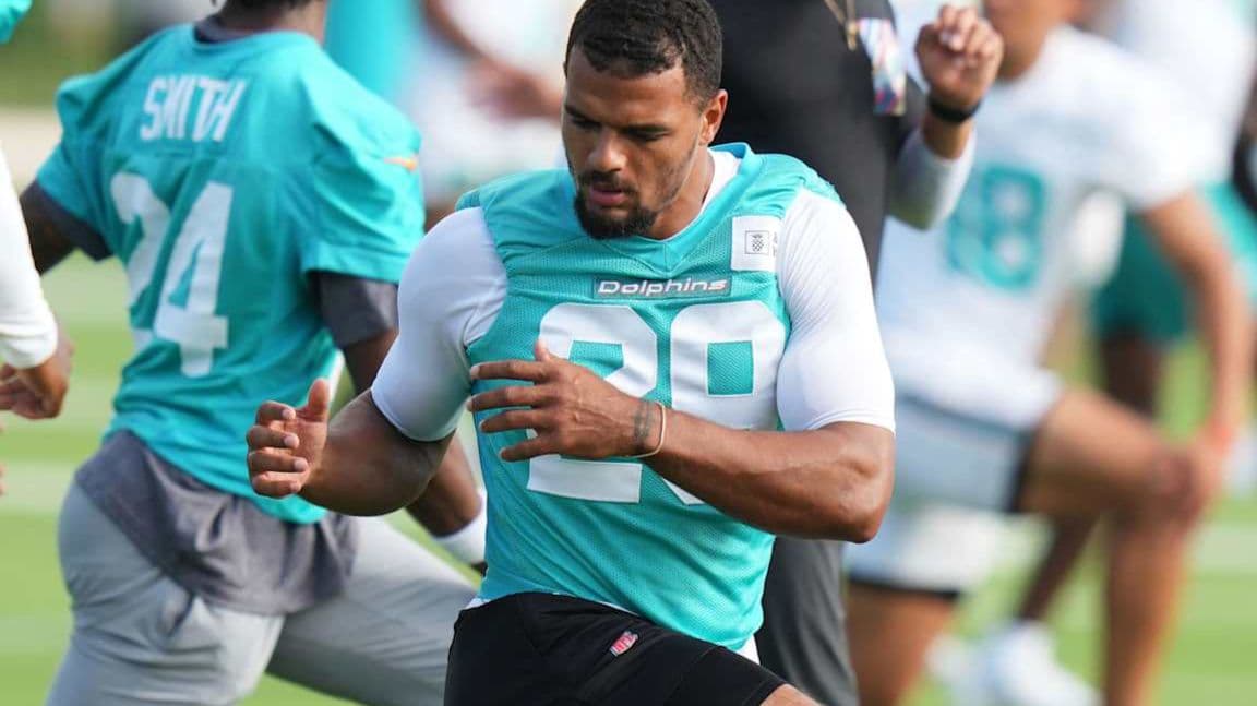 مينكاه فيتزباتريك