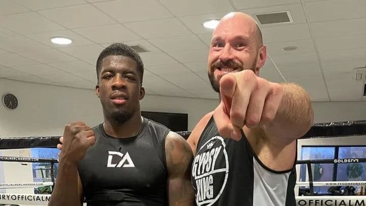 أديلي - فيوري