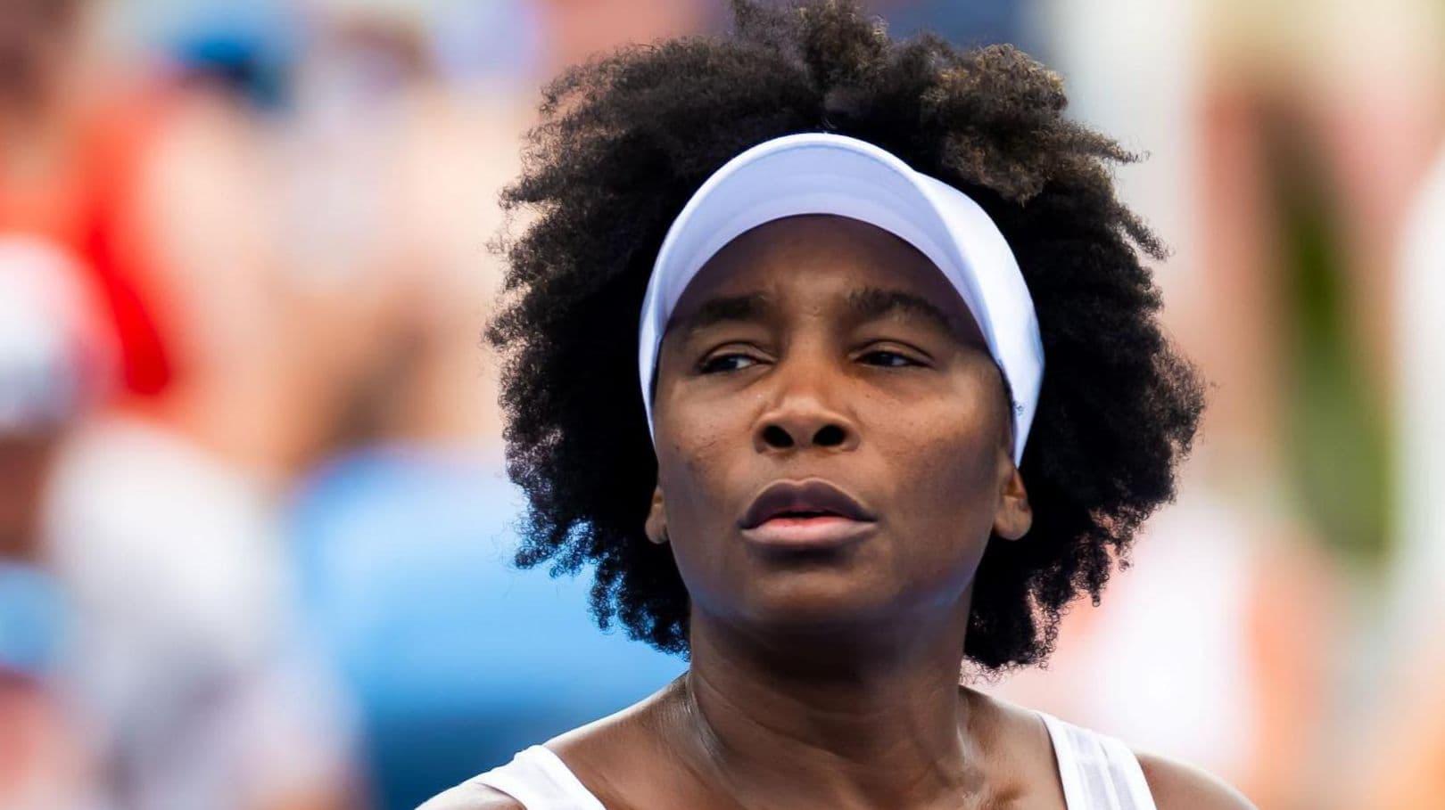 فينوس ويليامز