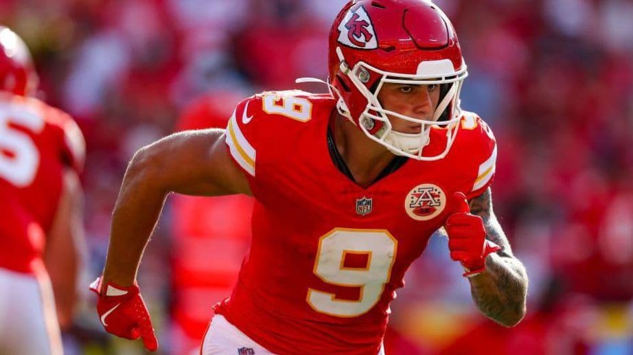 لويس ريس زاميت