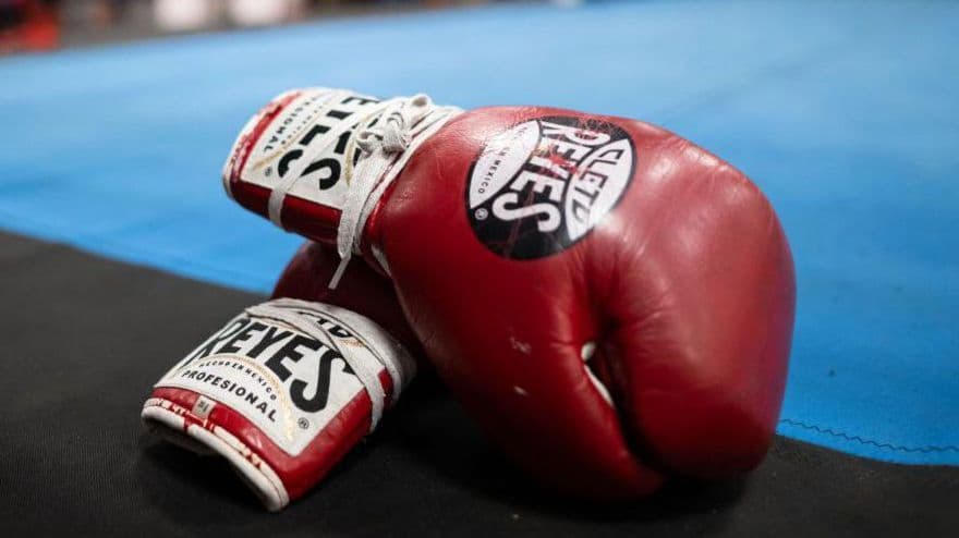 قفازات ملاكمة