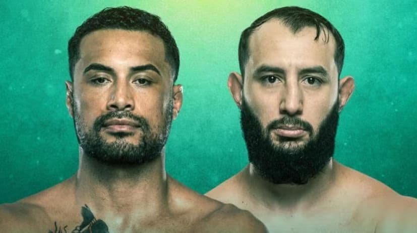 دومينيك رييس