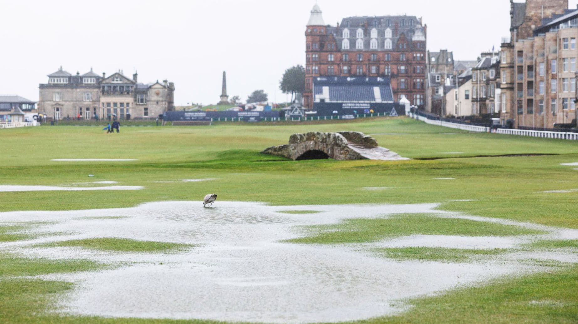 بطولة الفرد دنهل