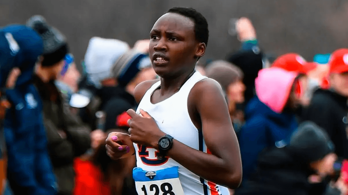 بريندا جيبشيرشير