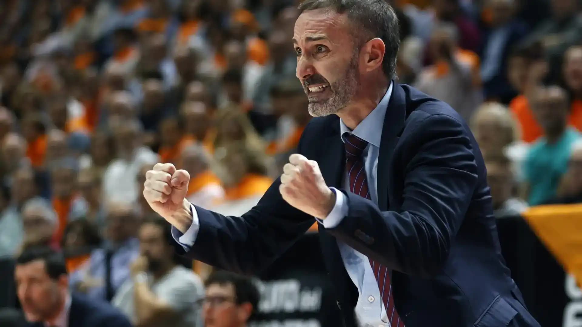 سيتو ألونسو