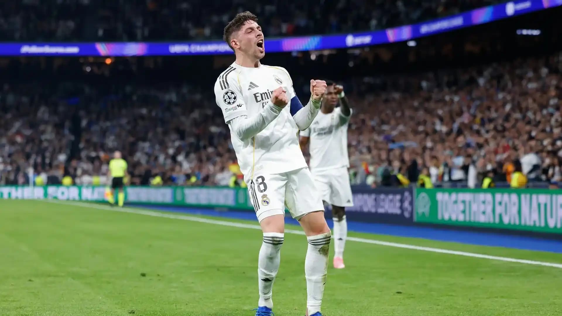 فيدي فالفيردي