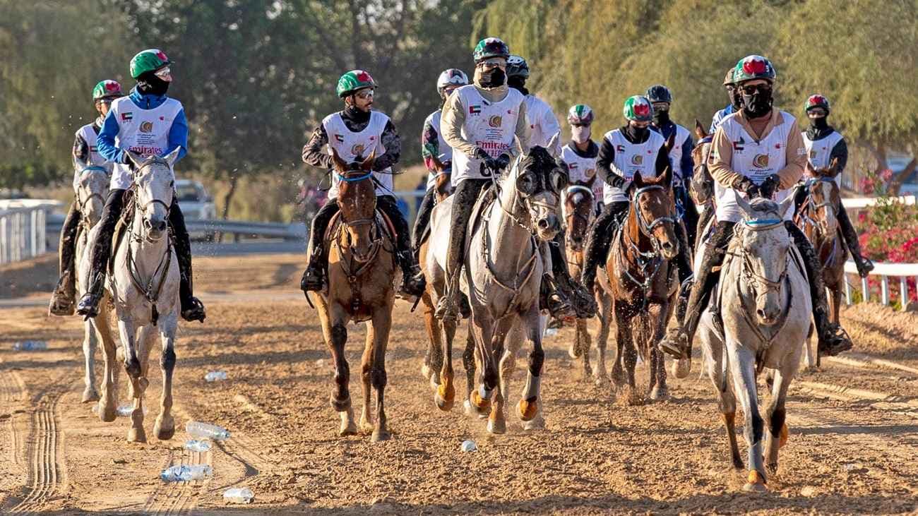 كأس سمو ولي عهد دبي للقدرة
