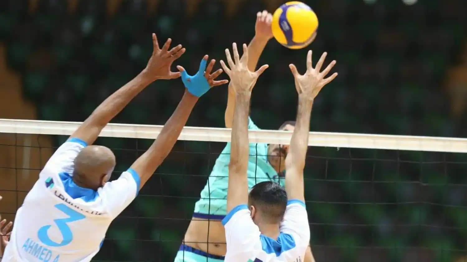 كرة الطائرة - السعودية