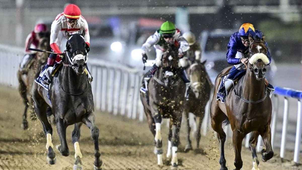 نادي دبي للفروسية